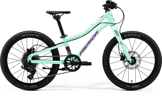 Hovedbilde Matts J. 20+