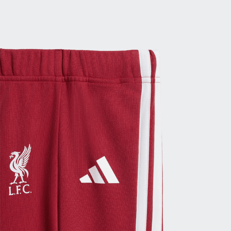 LFC DNA BBJ