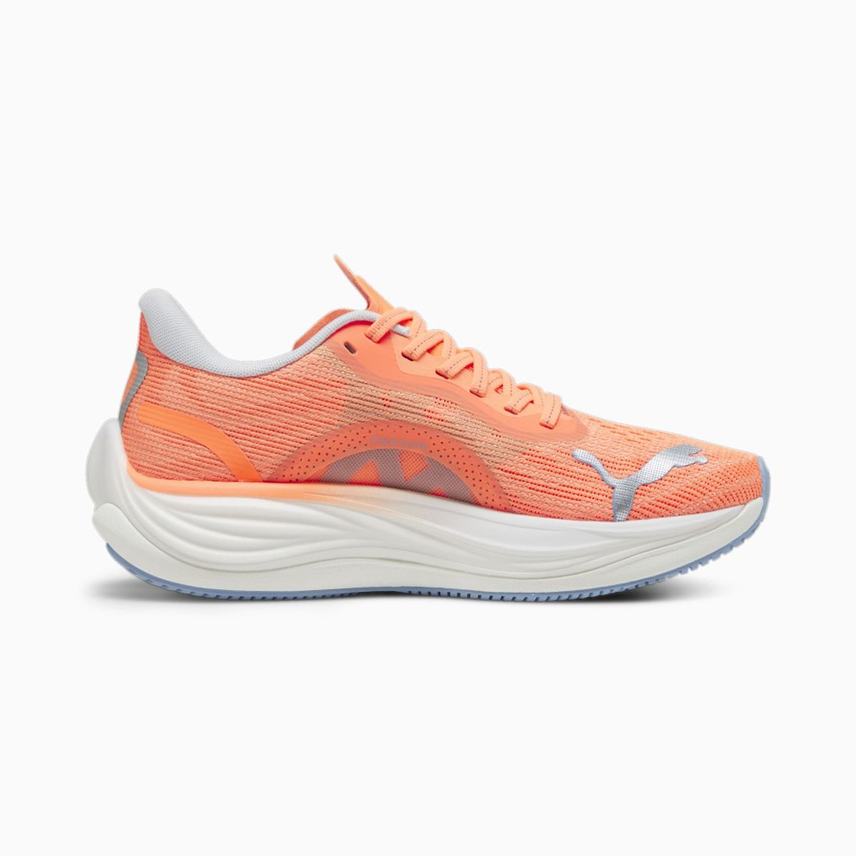 Velocity Nitro 3 Wns