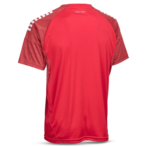 Hovedbilde Player shirt S/S Spain v25